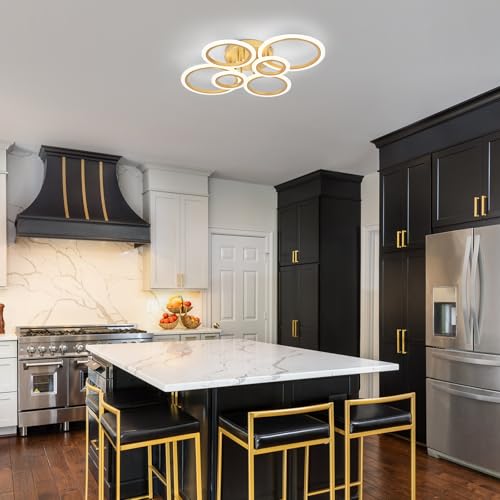 Modern LED Ceiling Light