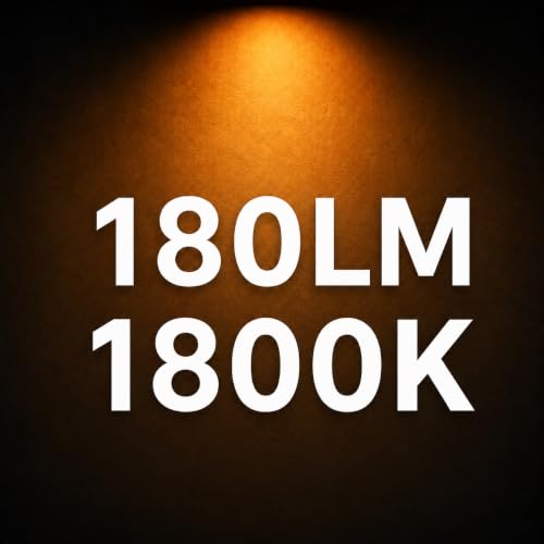 G125 LED Light Bulbs