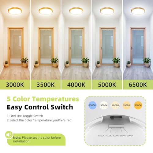 2PACK Flush Mount LED Ceiling Light Fixture