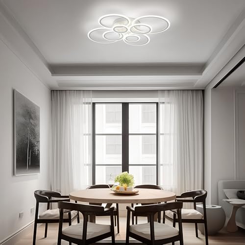 Modern LED Ceiling Light