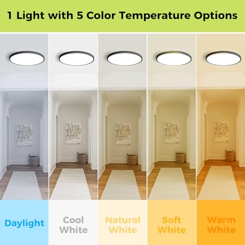 2Pack LED Flush Mount Ceiling Light Fixture (2 Count)