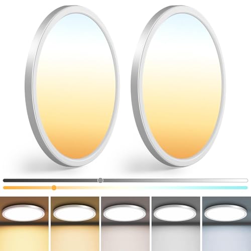 2Pack 13 inch White LED Flush Mount Ceiling Lights (2 Count)