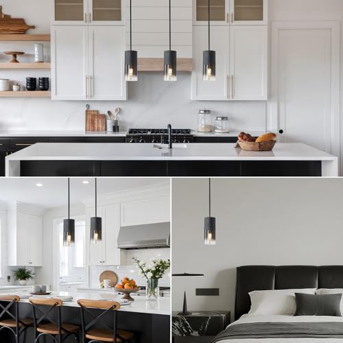 Pendant Light Fixtures (2 Count)