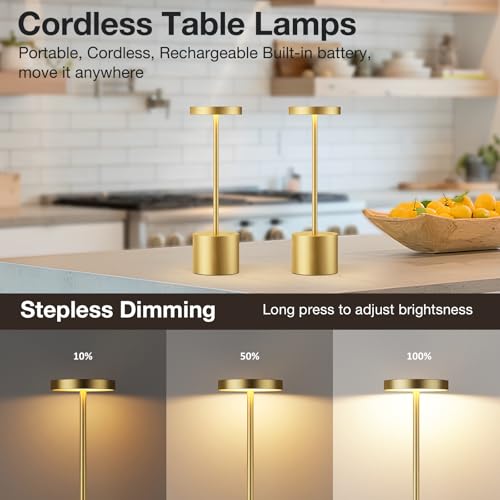 Cordless Rechargeable Table Lamp (2 Count)
