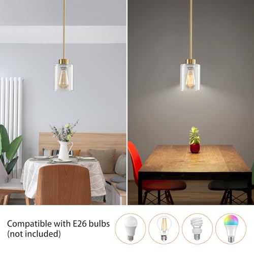 Modern Black Farmhouse Pendant Light with Glass Shade