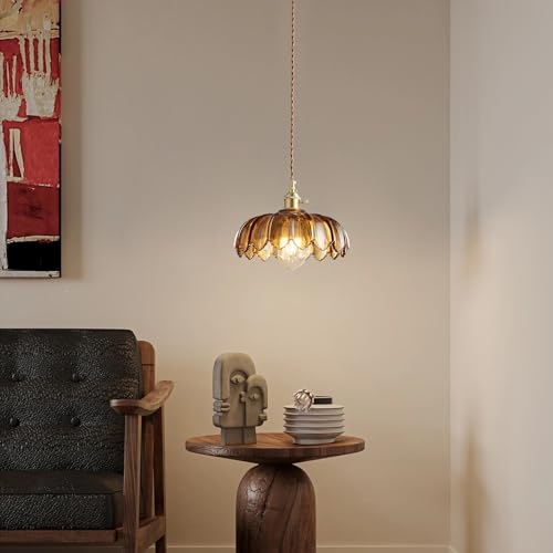 Plug in Pendant Light