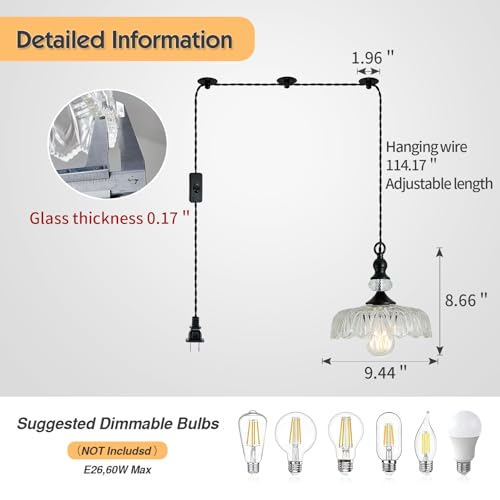 Plug in Glass Pendant Light Fixture Black Vintage Adjustable Chandelier Hanging Ceiling Light for Farmhouse Hallway Bedroom Foyer Kitcken Dining Room Island