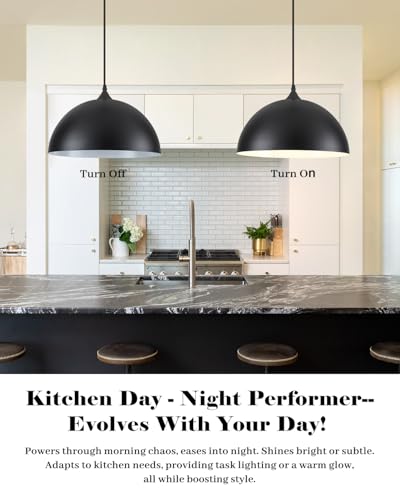 14 Inch Black and White Dome Pendant Light