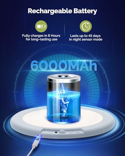 Rechargeable Ceiling Light (2 Count)