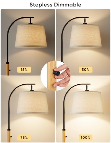 Dimmable Floor Lamp for Living Room