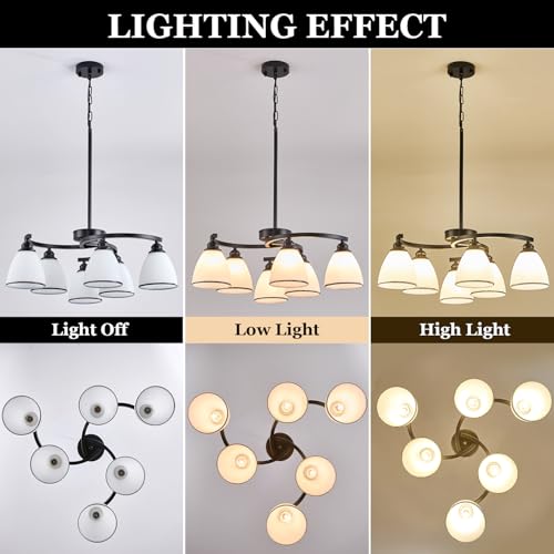 6 Light Modern Chandelier Light Fixture for Dinner Room (6 Count)