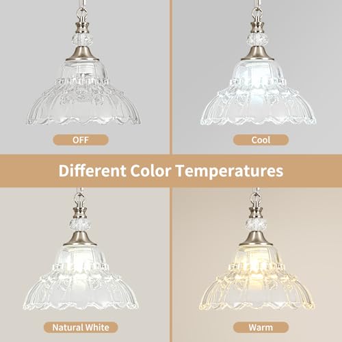 1 Piece Chandelier in Brushed Nickel Finish with White Flower (1-Light / Nickel and Chain Style)