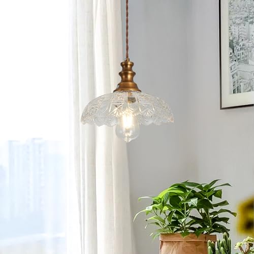Plug in Pendant Light Industrial Pendant Lighting with Plug in Cord 9.8ft Hanging Lamps Clear Glass Shade ‎Bronze Light Fixture for Living Room Kitchen Dining Room Bedroom