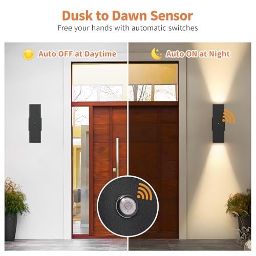Dusk to Dawn Outdoor Lighting (2 Count)