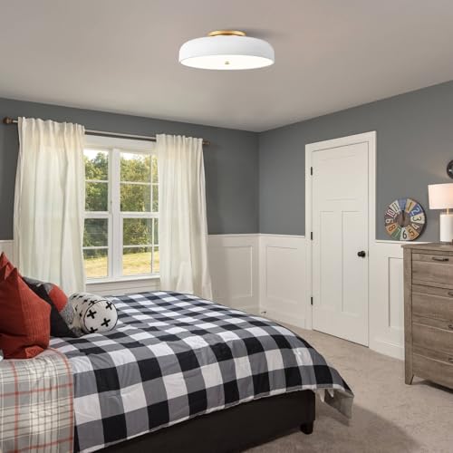 Dimmable LED Ceiling Light Fixture