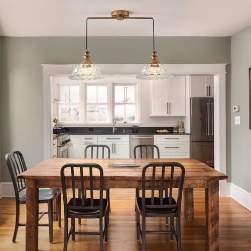 Vintage 2 Light Pendant Light Fixtures Modern Glass Hanging Lamps with Adjustable Cord for Kitchen Island Dining Room Living Room Hallway