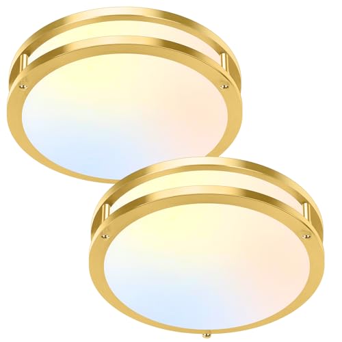 10 Inch LED Flush Mount Ceiling Lights (2 Count)