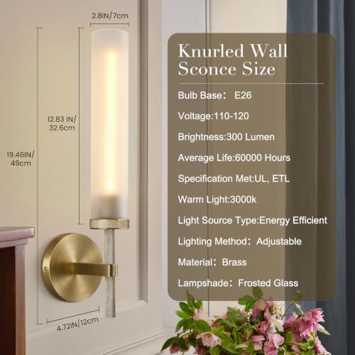 Brass Hardwired Frosted Glass Bathroom Wall Sconces 2 Pack (2 Count)
