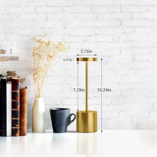 LED Cordless Table Lamps Set of 2