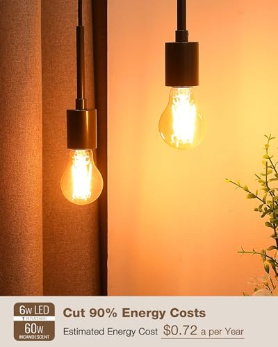 A19 Amber Edison Bulbs (6 Count)