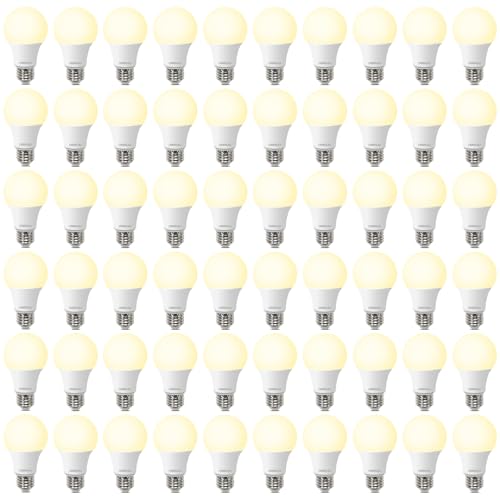60 Pack A19 LED Light Bulbs 60W Equivalent (60 Count)