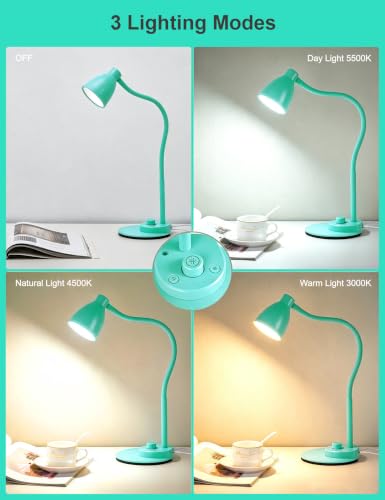 LED Desk Lamp with USB Charging Port
