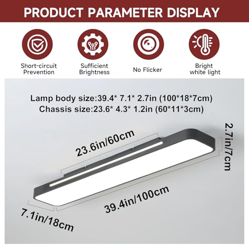 Modern LED Ceiling Light