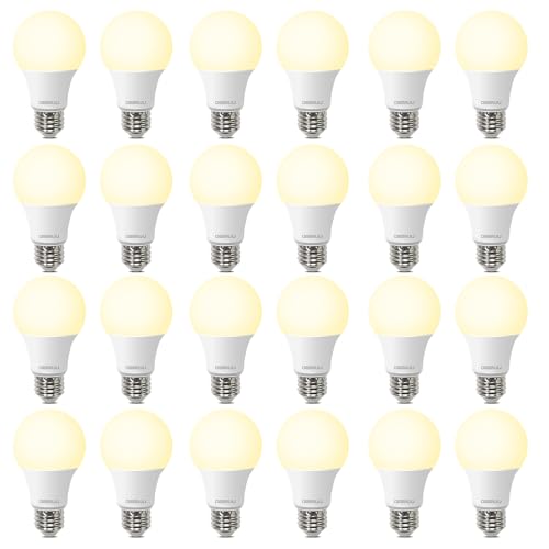 24 Pack A19 LED Light Bulbs 60W Equivalent (24 Count)