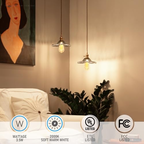 6 Pack LED ST64 Vintage Edison Bulbs (6 Count)