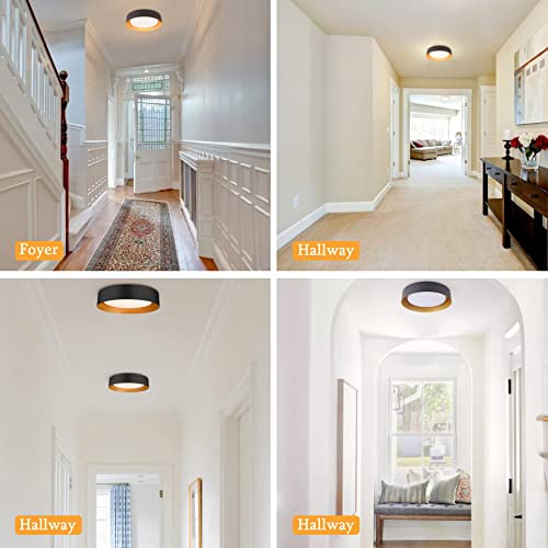 16.5 Inch Flush Mount Ceiling Light