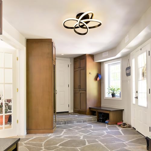 Modern Ceiling Light