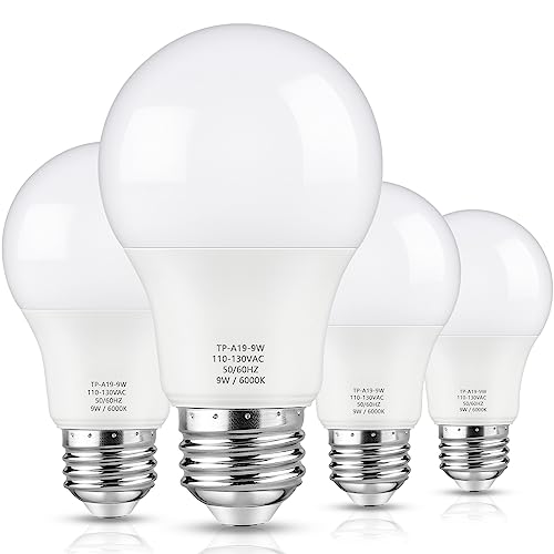 A19 LED Light Bulbs (4 Count)