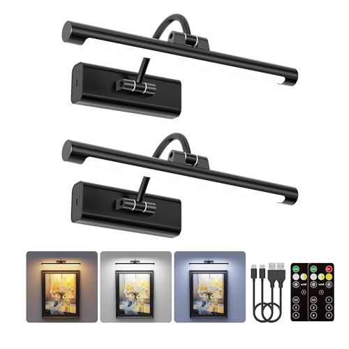 Battery Operated Picture Light