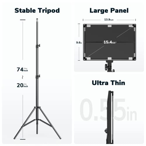 D50 Photography Lighting with Barn Door