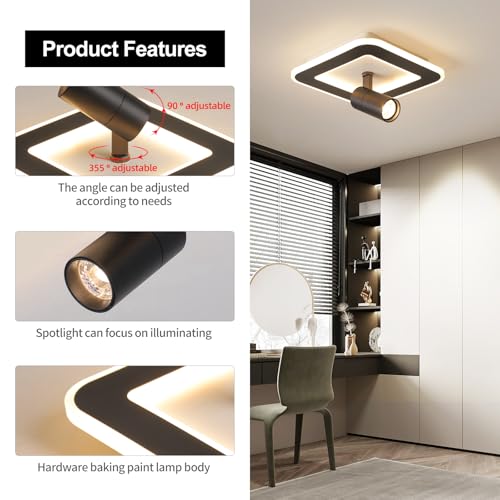 Modern LED Ceiling Lights with 1 spotlights 9.8Inch Black Ceiling Lights with Remote Control Dimmable