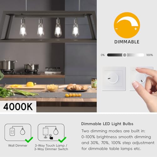 Edison Bulbs E26 LED Bulb 60 Watt Equivalent