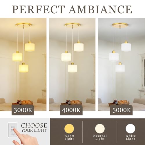 Brushed Gold Dining Room Chandelier Light Fixture