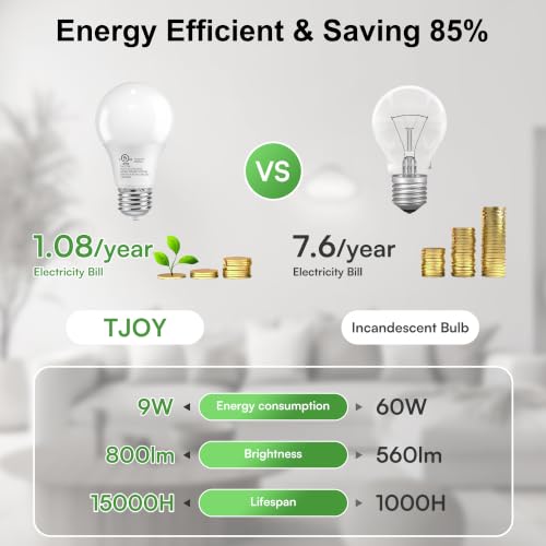 A19 LED Light Bulbs (24 Count)