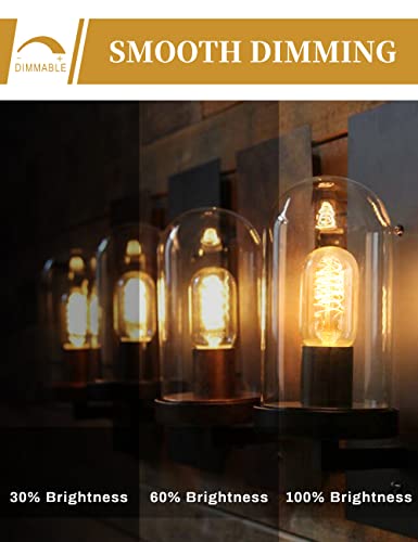Edison Bulbs Light Bulbs (4 Count)