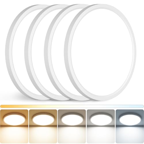 12 inch LED Ceiling Light (4 Count)
