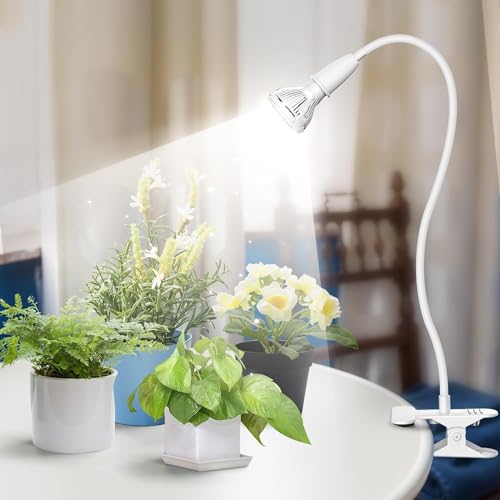 Grow Lights for Indoor Plants