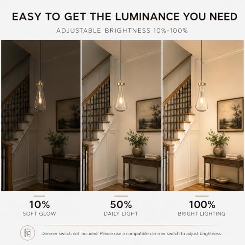 Modern Gold Teardrop Pendant Light (Gold / 1-Light)