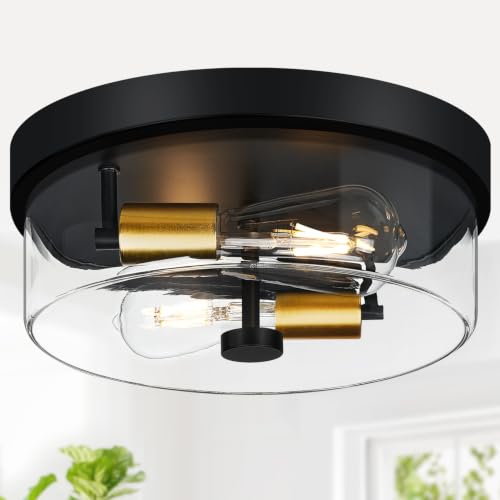 Flush Mount Ceiling Light Fixtures