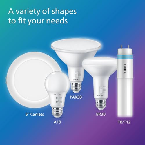 A19 Light Bulbs (12 Count)