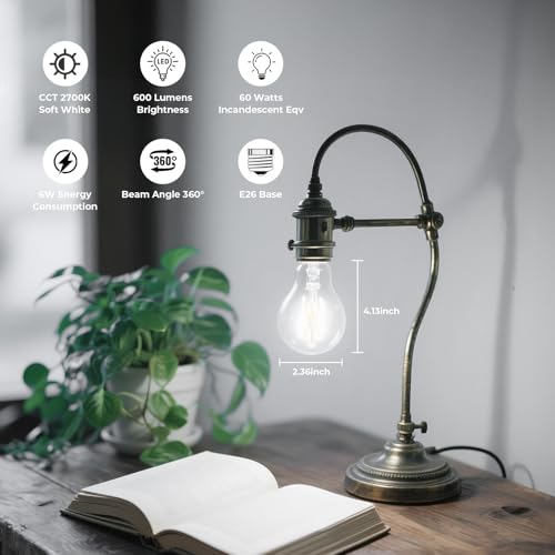 A19 E26 Edison Bulbs 60 watt Equivalent (12 Count)