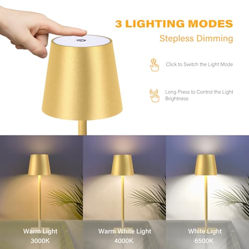 2 Pack Cordless Table Lamps (2 Count)