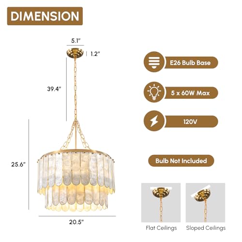 Modern 5 Light Shell Chandelier