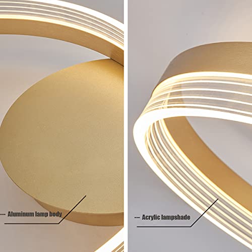 Chaners Ceiling Light Acrylic Ring Ceiling Light LED with Remote Control Dining Room Bedroom Lamp Living