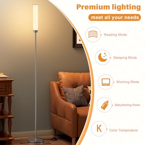 LED Floor Lamp with Remote Control