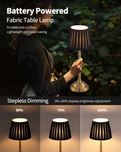 Gold Cordless LED Table Lamps Set of 2 (2 Count)